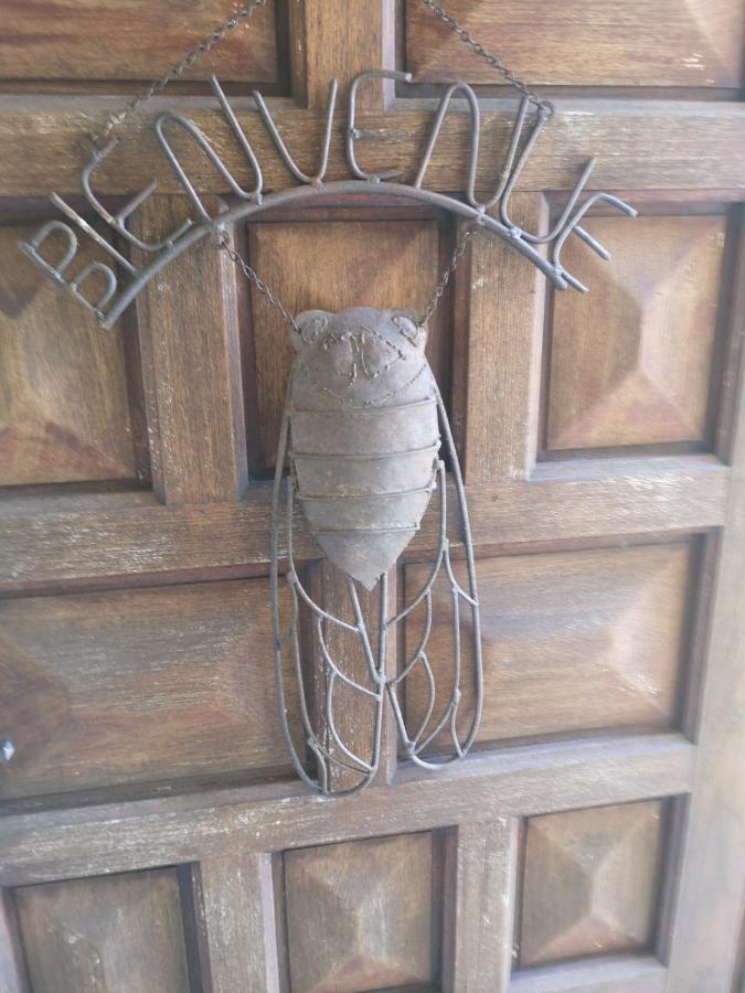 Chambre D'Hote "Avignon" Aramon Exterior foto